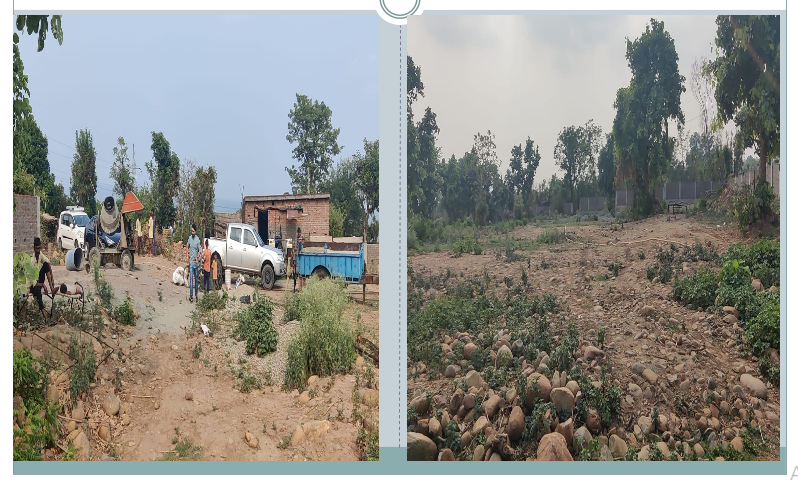 Peripheral OPDs Image